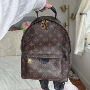 Louis Vuitton Palm Springs Backpack in Brown Monogram